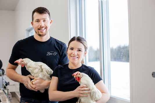 Dans la vie de nos poules pondeuses